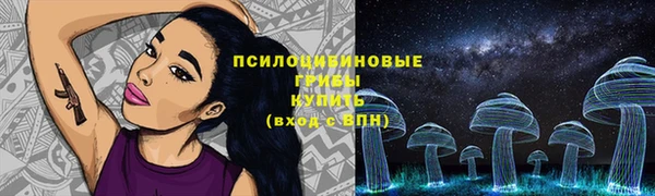 МДПВ Надым
